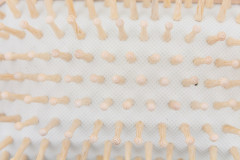 TBC Naturhaarburste aus Buche und Ahornholz  Щетка из натурального ворса из древесины бука и клена.