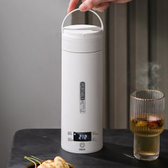 farfi farfi Wasserkocher Tragbarer elektrischer Wasserkocher mit Temperaturvoreinstellung, Auslaufsicher,Temperaturvoreinstellung,Automatische Abschaltung Чайник Farfi Портативный электрический чайник с заданной температурой, герметичный, с заданной темп