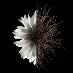 Givenchy The Shower Oil Масло для душа